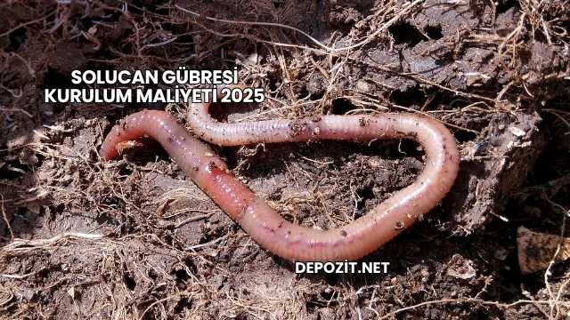 Solucan Gübresi Kurulum Maliyeti 2025