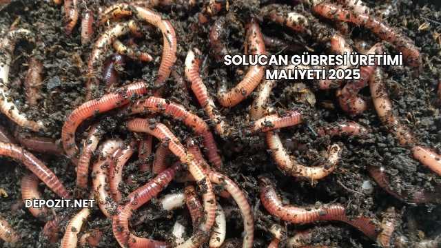Solucan Gübresi Üretimi Maliyeti 2025