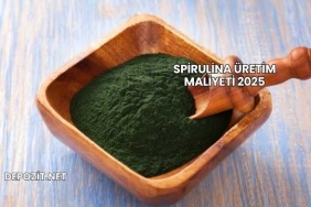 Spirulina Üretim Maliyeti 2025
