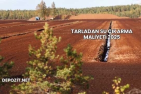 Tarladan Su Çıkarma Maliyeti 2025