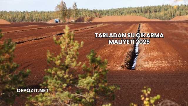 Tarladan Su Çıkarma Maliyeti 2025