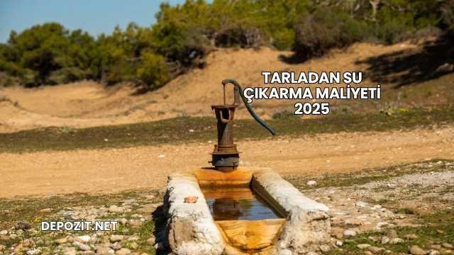 Tarladan Su Çıkarma Maliyeti 2025