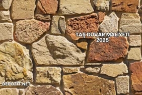 Taş Duvar Maliyeti 2025