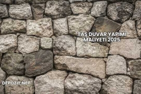 Taş Duvar Yapımı Maliyeti 2025