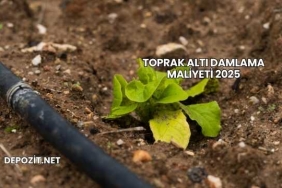 Toprak Altı Damlama Maliyeti 2025