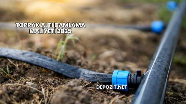 Toprak Altı Damlama Maliyeti 2025