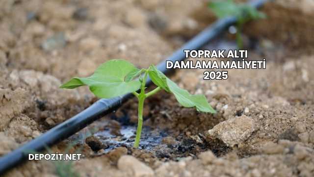 Toprak Altı Damlama Maliyeti 2025