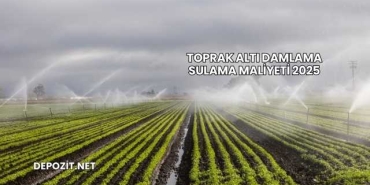 Toprak Altı Damlama Sulama Maliyeti 2025
