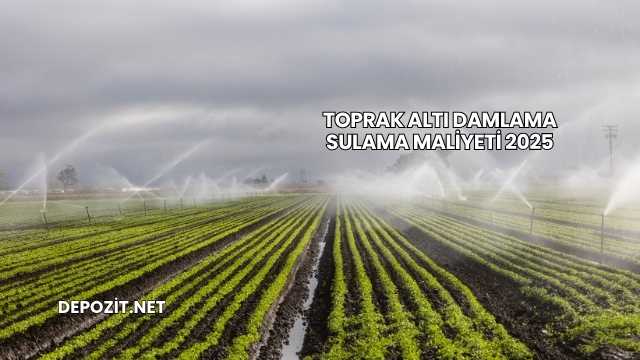 Toprak Altı Damlama Sulama Maliyeti 2025