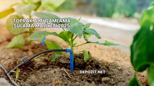 Toprak Altı Damlama Sulama Maliyeti 2025
