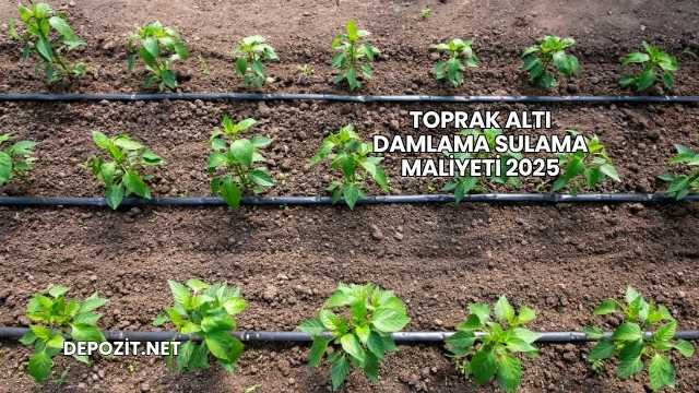 Toprak Altı Damlama Sulama Maliyeti 2025