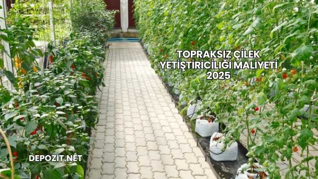 Topraksız Çilek Yetiştiriciliği Maliyeti 2025