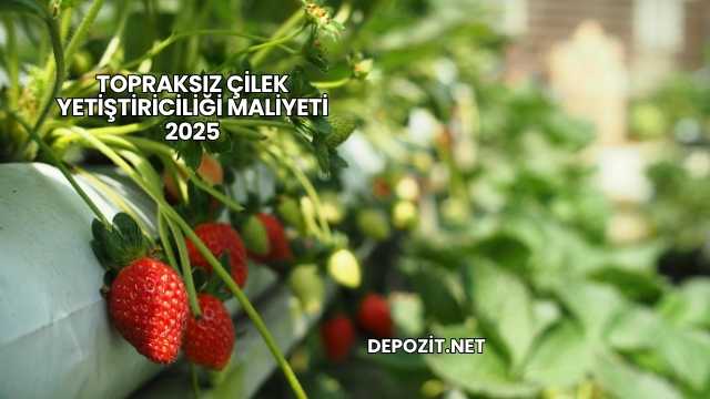 Topraksız Çilek Yetiştiriciliği Maliyeti 2025