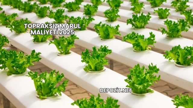 Topraksız Marul Maliyeti 2025
