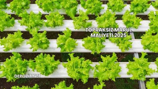 Topraksız Marul Maliyeti 2025