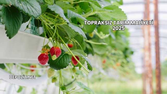 Topraksız Tarım Maliyeti 2025