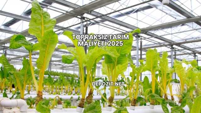 Topraksız Tarım Maliyeti 2025