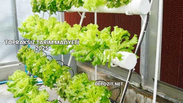 Topraksız Tarım Maliyeti 2025