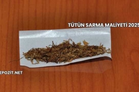 Tütün Sarma Maliyeti 2025