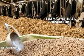 Yem Maliyeti Nasıl Düşürülür?