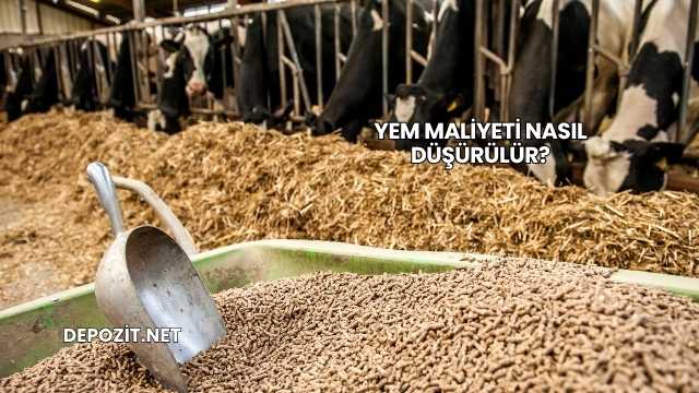 Yem Maliyeti Nasıl Düşürülür?