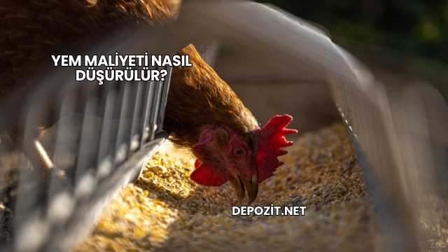 Yem Maliyeti Nasıl Düşürülür?