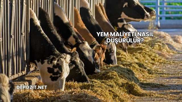 Yem Maliyeti Nasıl Düşürülür?