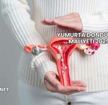 Yumurta Dondurma Maliyeti 2025