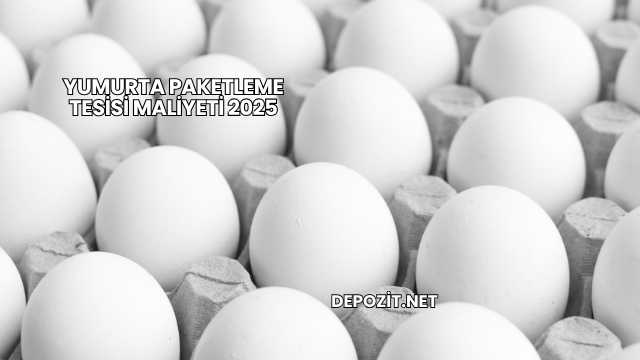 Yumurta Paketleme Tesisi Maliyeti 2025