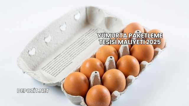 Yumurta Paketleme Tesisi Maliyeti 2025