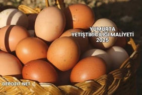Yumurta Yetiştiriciliği Maliyeti 2025