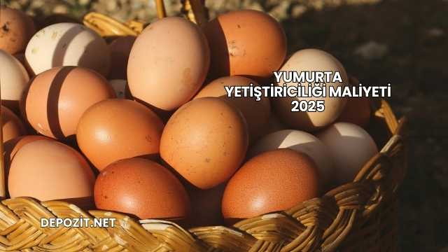 Yumurta Yetiştiriciliği Maliyeti 2025