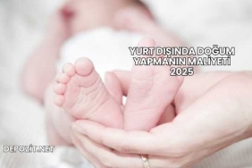 Yurt Dışında Doğum Yapmanın Maliyeti 2025