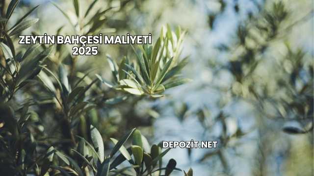 Zeytin Bahçesi Maliyeti 2025