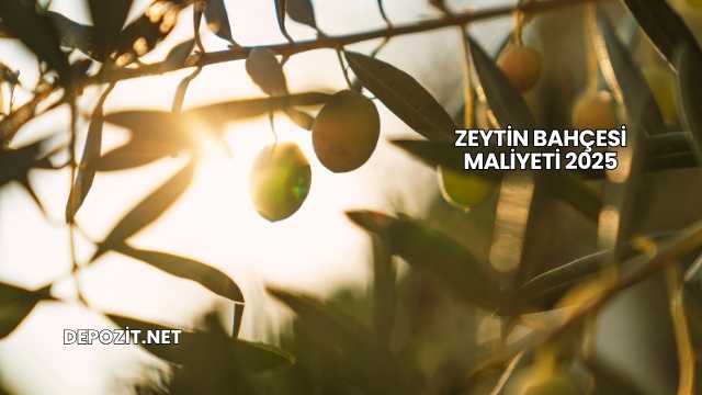 Zeytin Bahçesi Maliyeti 2025