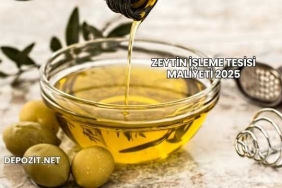 Zeytin İşleme Tesisi Maliyeti 2025
