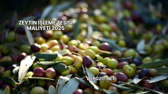 Zeytin İşleme Tesisi Maliyeti 2025