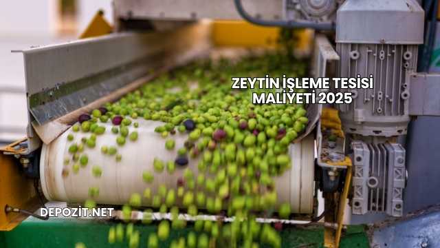 Zeytin İşleme Tesisi Maliyeti 2025