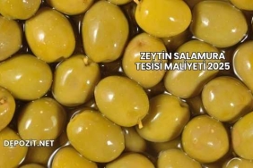 Zeytin Salamura Tesisi Maliyeti 2025
