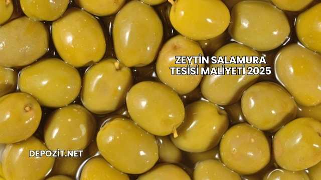 Zeytin Salamura Tesisi Maliyeti 2025