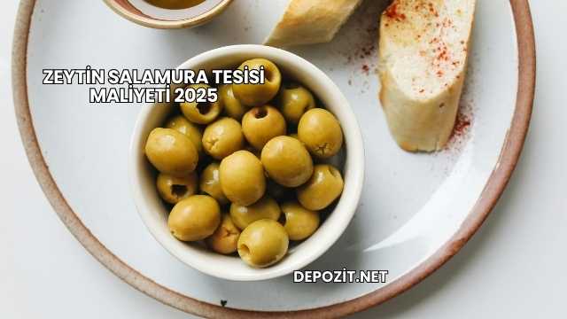 Zeytin Salamura Tesisi Maliyeti 2025