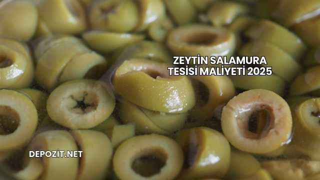 Zeytin Salamura Tesisi Maliyeti 2025