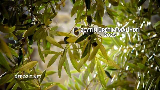 Zeytin Üretim Maliyeti 2025