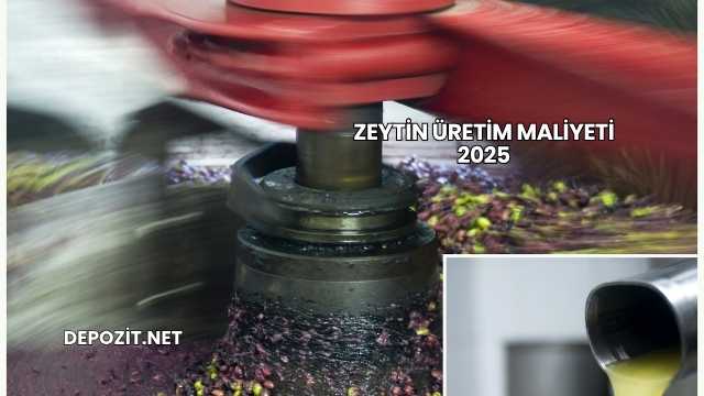 Zeytin Üretim Maliyeti 2025