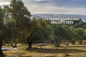 Zeytin Yetiştiriciliği Maliyeti 2025