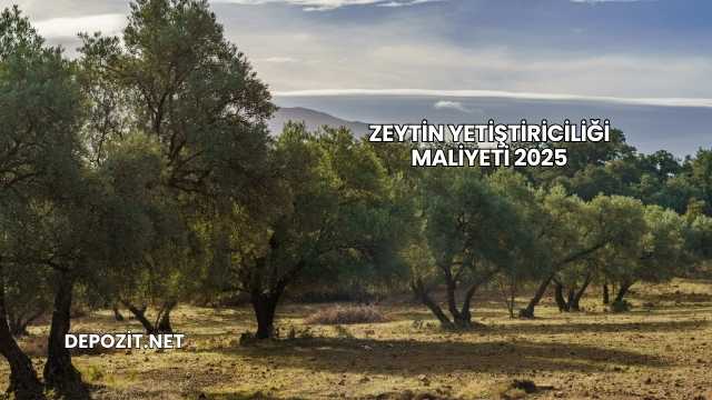 Zeytin Yetiştiriciliği Maliyeti 2025