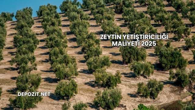 Zeytin Yetiştiriciliği Maliyeti 2025