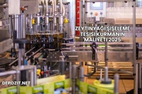 Zeytinyağı Şişeleme Tesisi Kurmanın Maliyeti 2025
