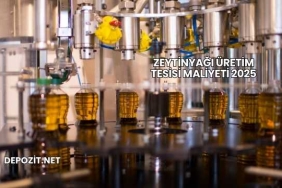 Zeytinyağı Üretim Tesisi Maliyeti 2025