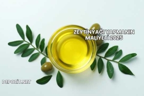 Zeytinyağı Yapmanın Maliyeti 2025